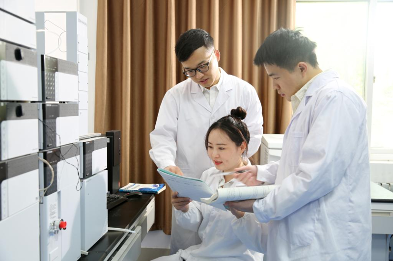 酶制剂：生物技术的隐形英雄