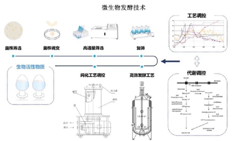 微生物菌剂的崛起：行业动态观察
