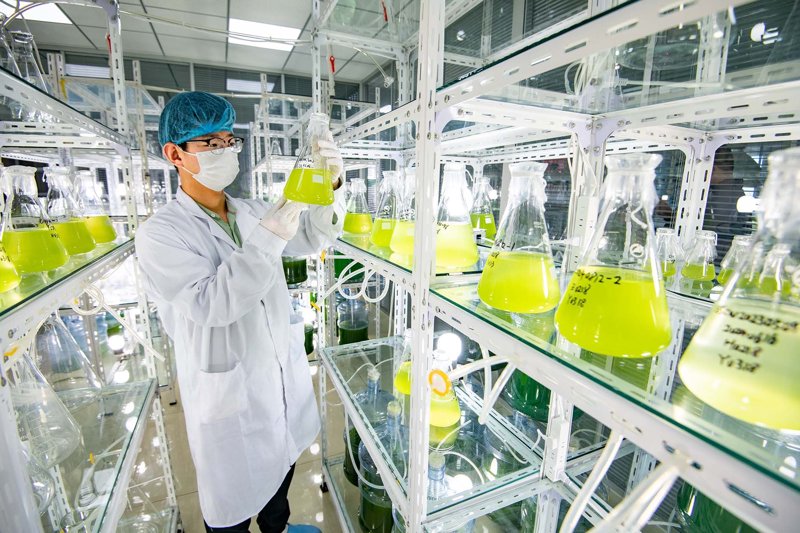 生物科技研发的前沿探索与未来发展