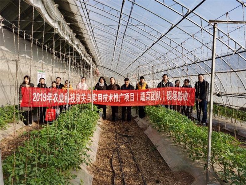 生物技术：新生命的守护者