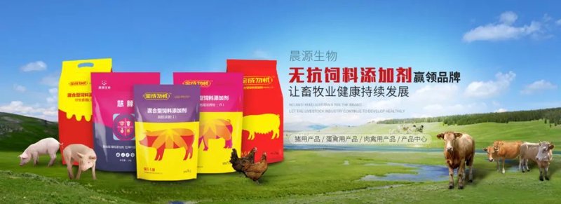 生物医药行业：未来科技的前沿阵地