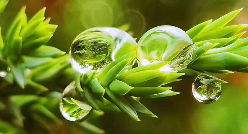 生物科技研发：开启生命科学新纪元